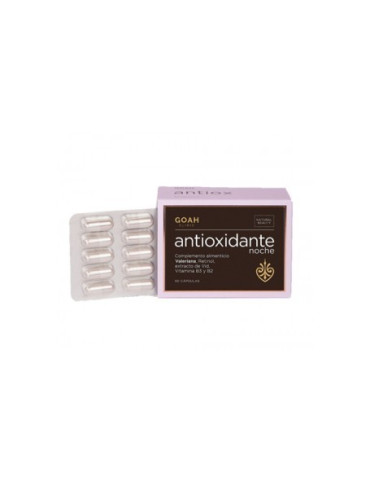 GOAH CLINIC ANTIOXIDANTE NOCHE 60 CAPS