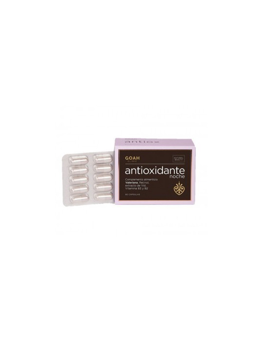GOAH CLINIC ANTIOXIDANTE NOCHE 60 CAPS