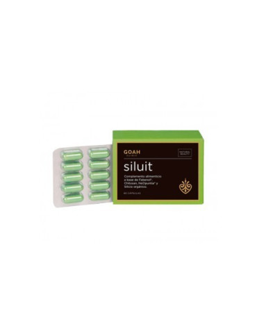 GOAH CLINIC SILUIT 60 CAPS