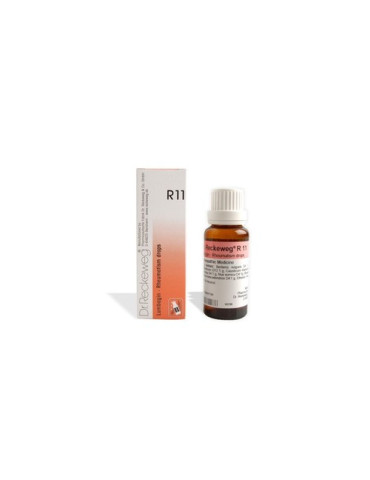 DR RECKEWEG R 11 LUMBAGIN GOTAS 50 ML