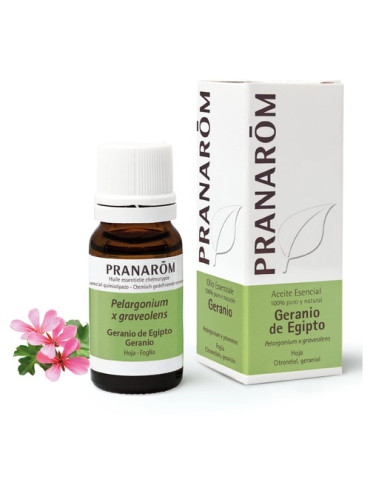 PRANAROM ACEITE ESENCIAL GERANIO EGIPTO 10ML