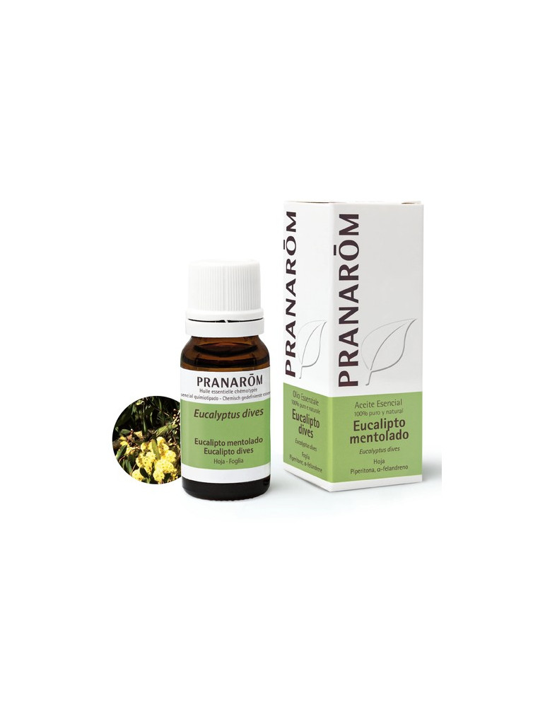 PRANAROM ACEITE ESENCIAL EUCALIPT MENTOL 10ML